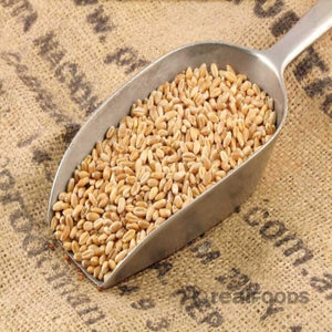 Organic Whole Wheat 1kg
