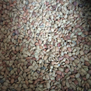 Horse Gram