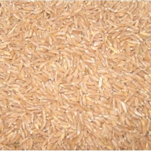 Organic Jave Wheat