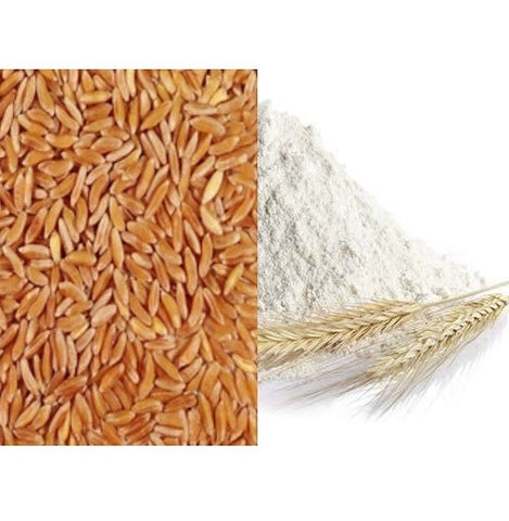 Organic Long Wheat ( Jave ) flour (atta)