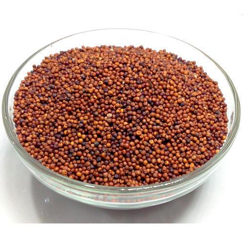 Organic Ragi (Finger Millet)