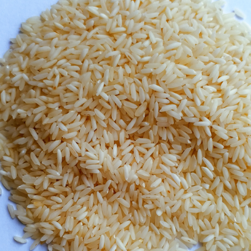 Organic Rice - Polished Sona masoori
