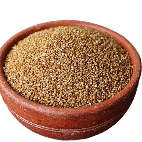 Organic Kodo Millet