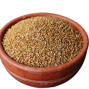 Organic Kodo Millet