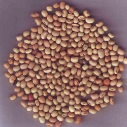 Organic Lobia beans