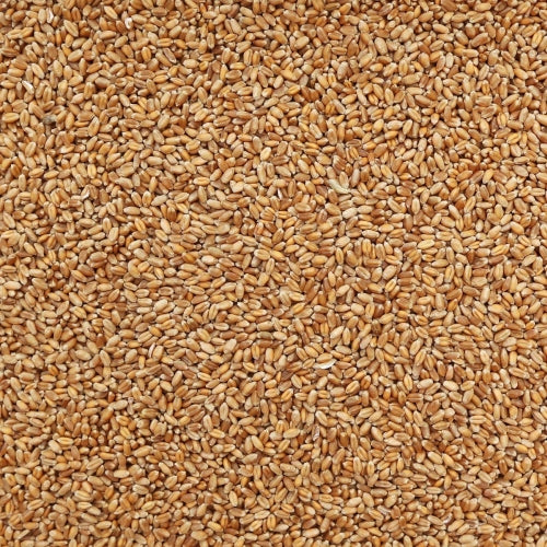 Organic Whole Wheat 1kg