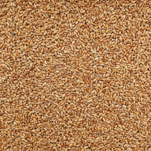 Wheat - Whole, 1 kg